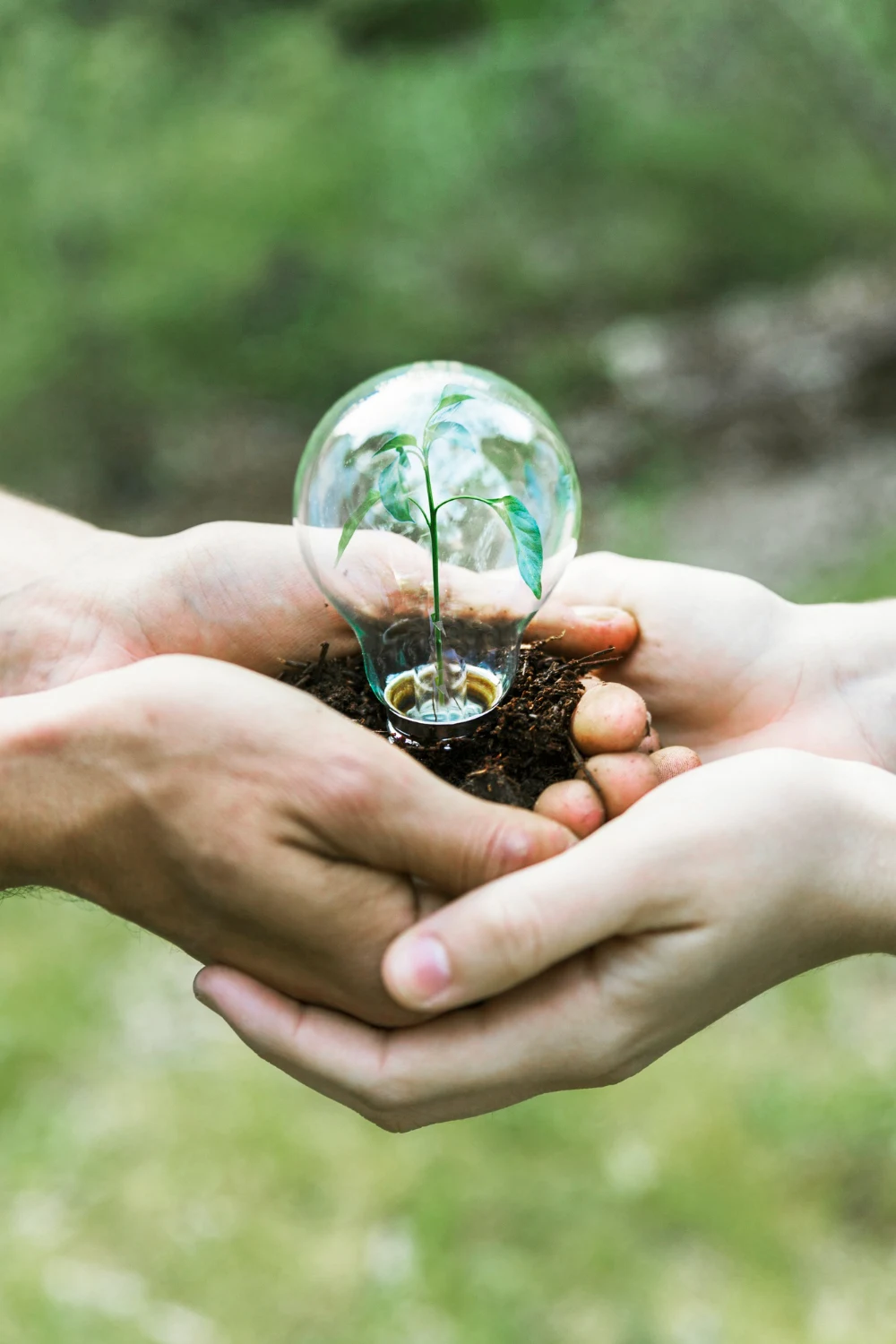 Social ecology