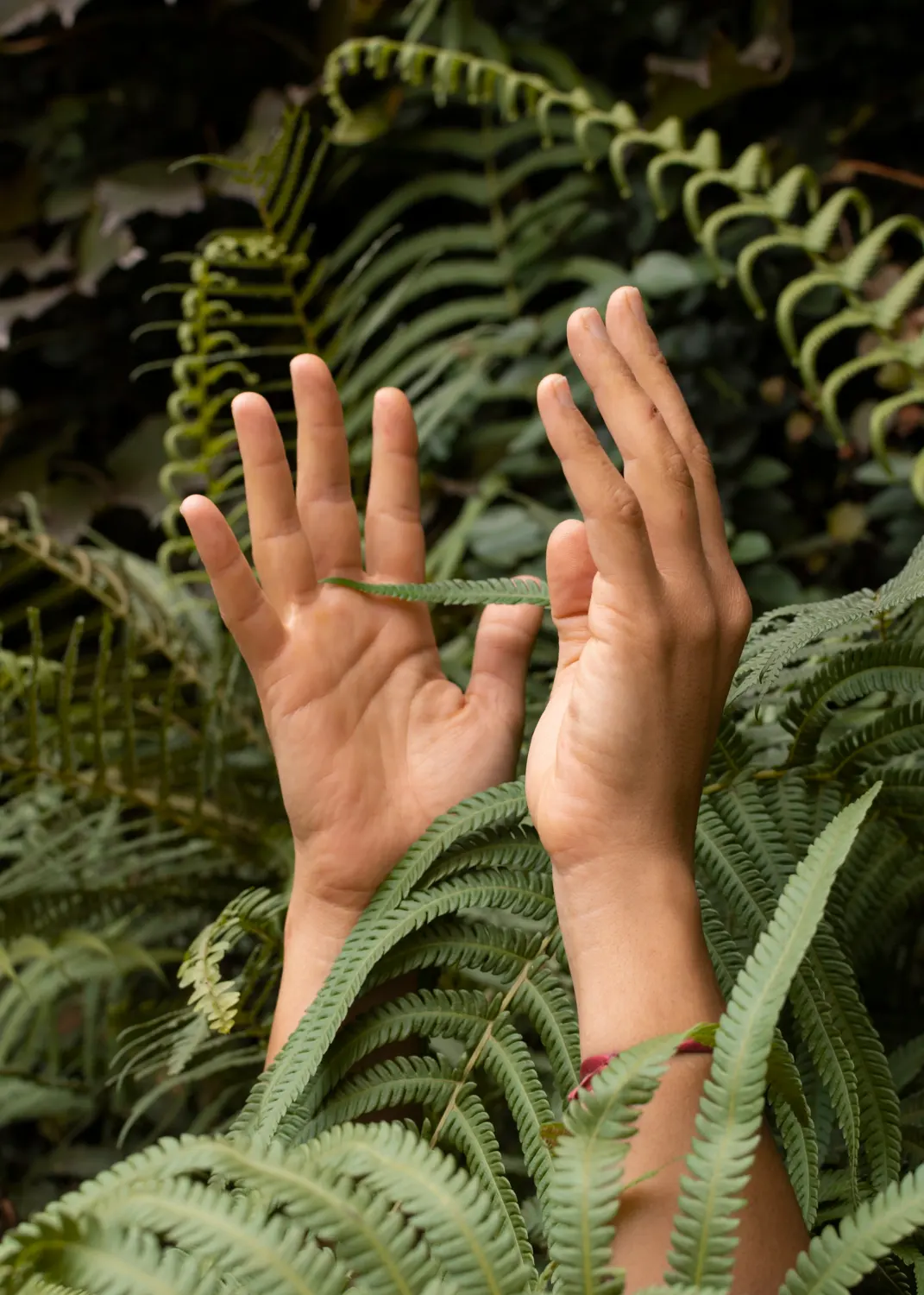 Community Ecology